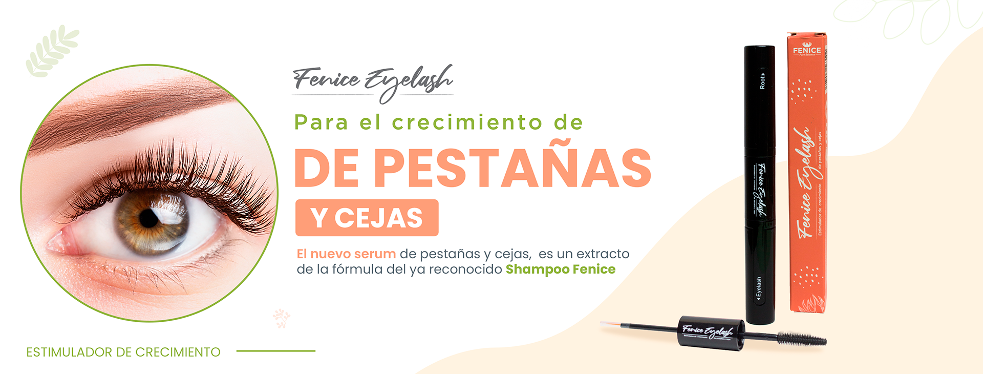 fenice-web-banner-50