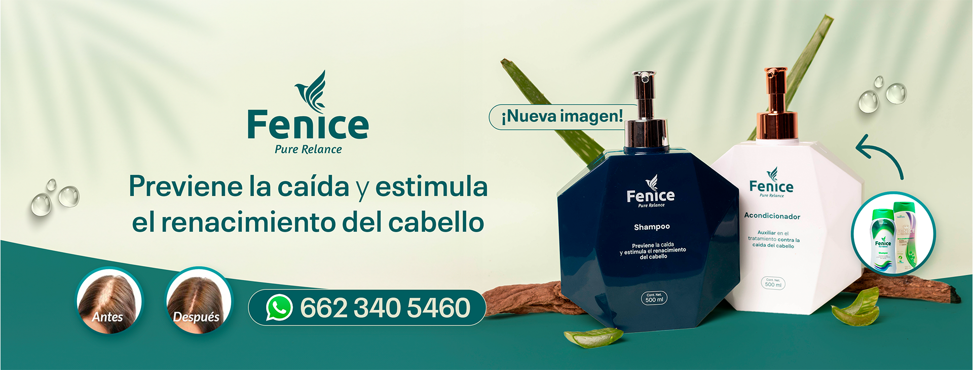 Banner web fenice shampoo